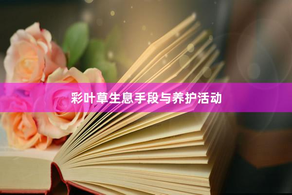 彩叶草生息手段与养护活动